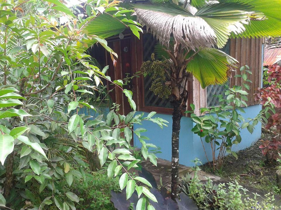 Hotel Puerto Viejo Puerto Viejo de Talamanca Dış mekan fotoğraf