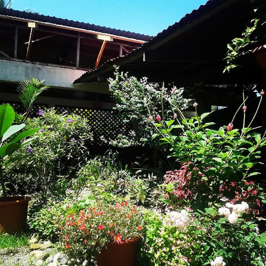 Hotel Puerto Viejo Puerto Viejo de Talamanca Dış mekan fotoğraf